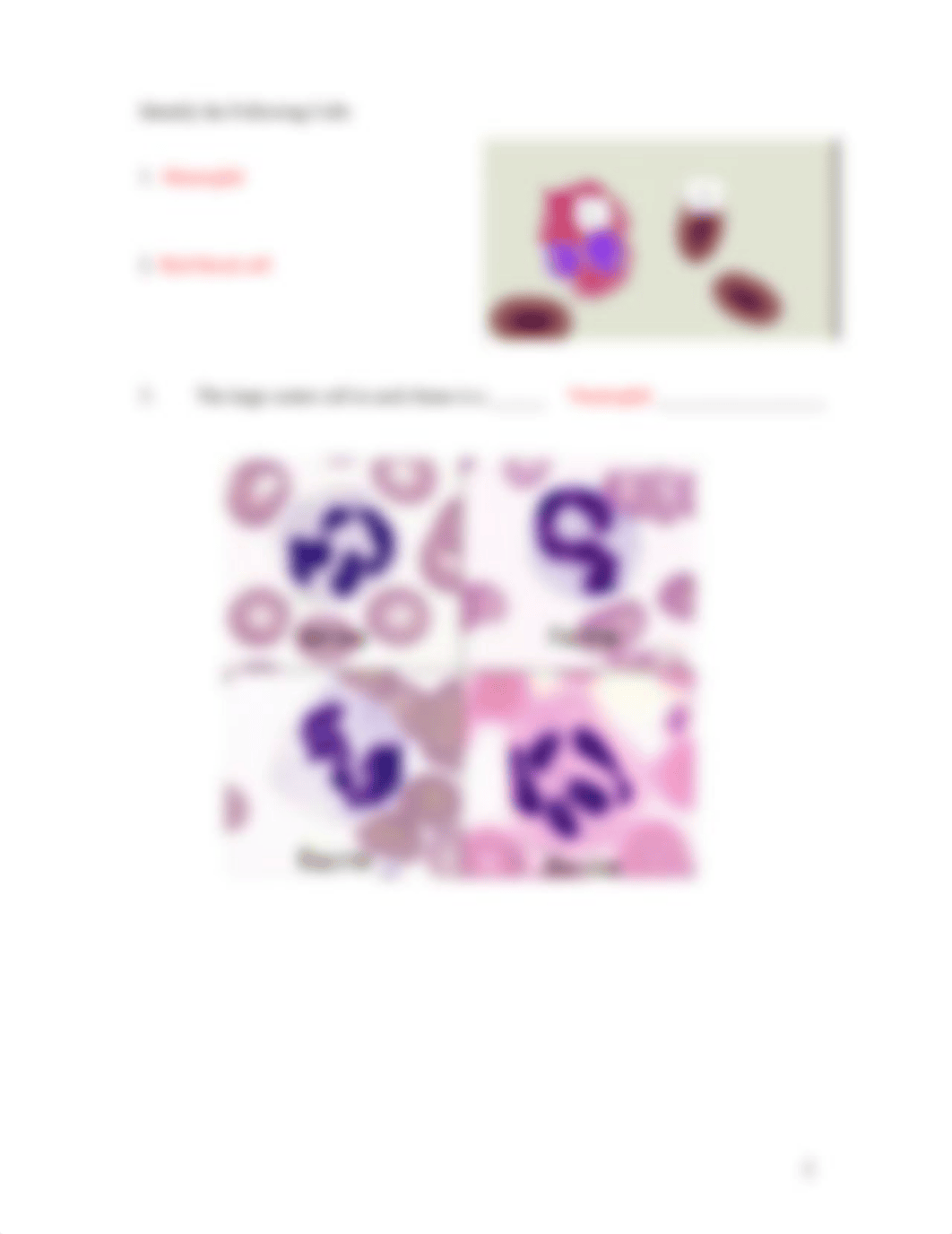 ASSN 8.4  MISCELLANEOUS BLOOD KEY.docx_deyvj2t0803_page2