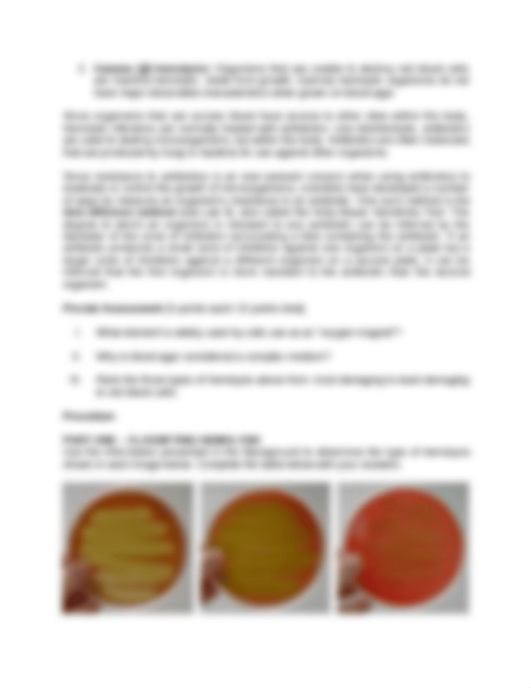 Lab 11 Medical Microbiology.docx_dez7lsrqgal_page2