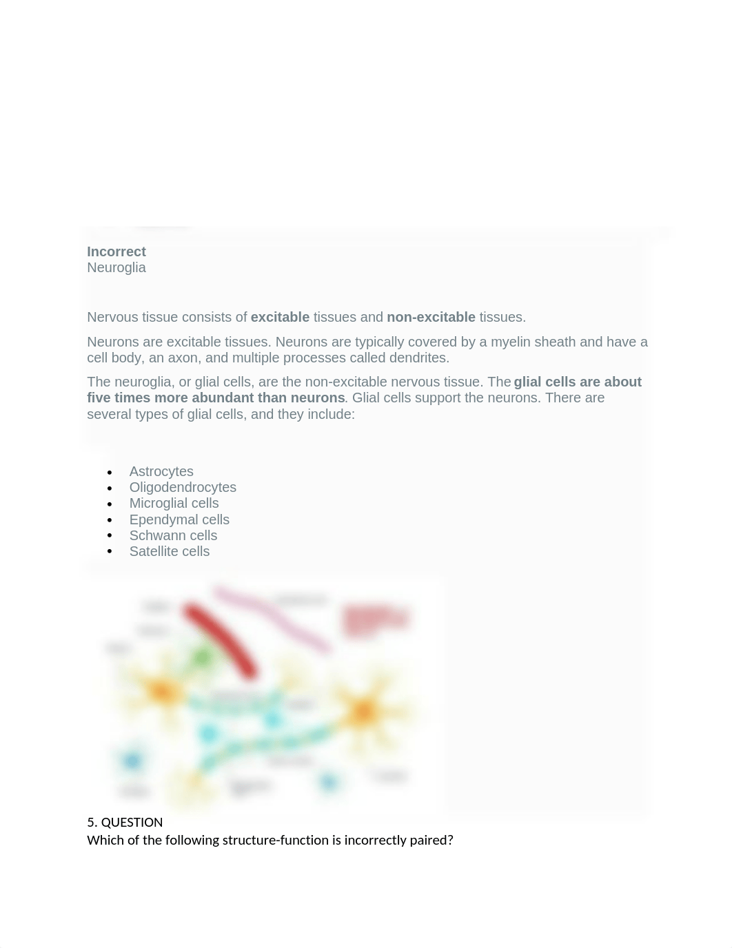 Which tissue has multinucleated striated cylindrical fibers and moves the body under voluntary contr_dezbs745dp2_page2