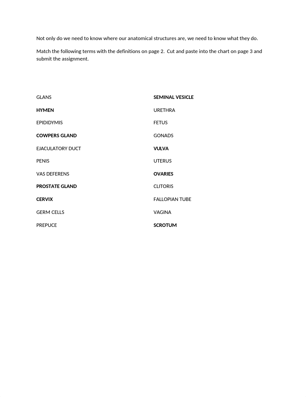 220- Anatomy Terms Activity_dezc1d67an8_page1