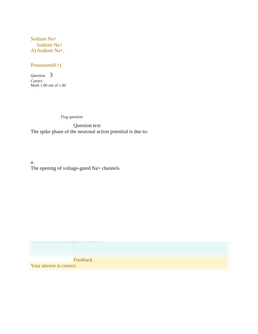 QUIZ 1.docx_dezft1cvyoy_page3