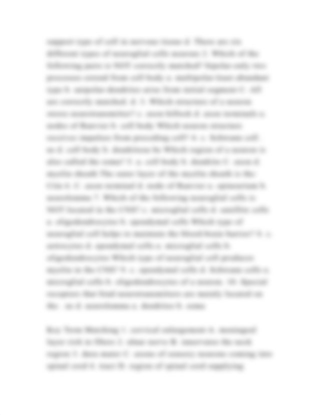 chapter 13 introduction to the nervous system key term matching and .docx_dezg3617vqz_page3