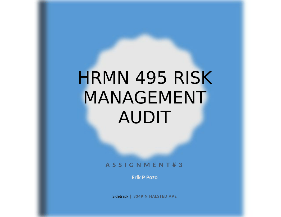 HRMN 495 Risk Audit Management.docx_dezhd784hcz_page1