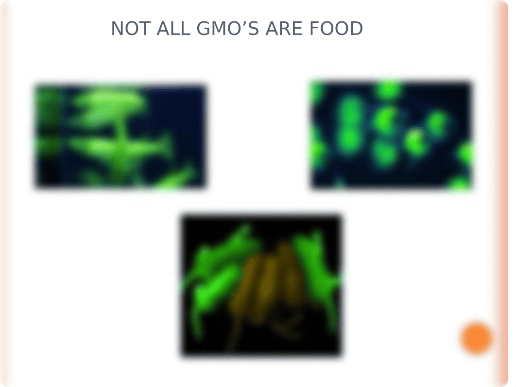 GMO powerpoint.pptx_dezl12rgnw0_page3