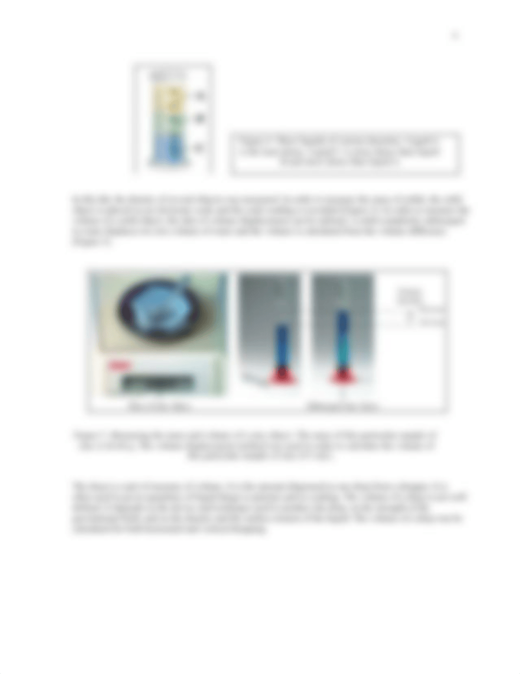 B. CHE 1120 - Lab Report Example - Density pdf.pdf_dezutt5zzo3_page4