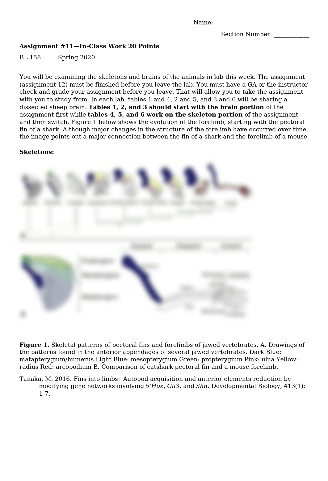 Assignment 11 2020.docx_dezvtffb7lc_page1