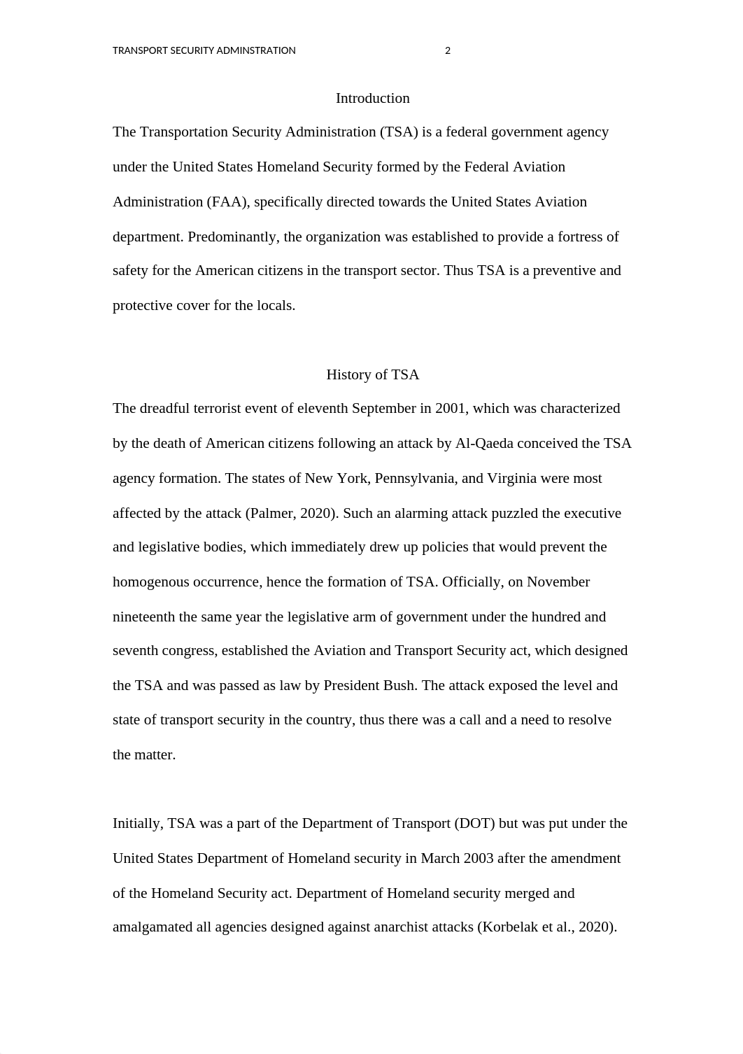 TRANSPORTATION SECURITY ADMINISTRATION.docx_df00io58zc8_page2