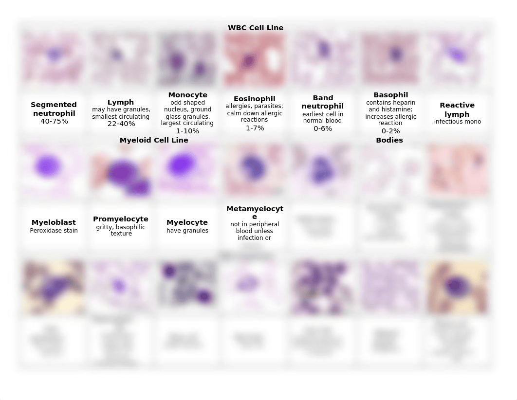 WBC Cell Line (1).docx_df021l8raqu_page1