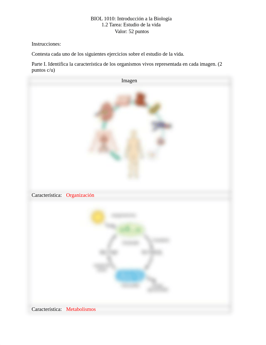 BIOL1010 Tarea 1.2.docx_df04lfveaha_page2