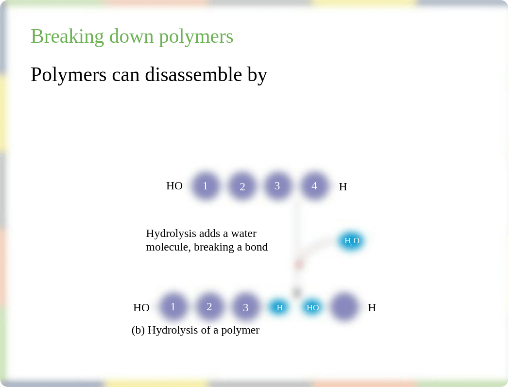 Chapter 3 Macromolecules Student Notes_df0mdmh3mhw_page4