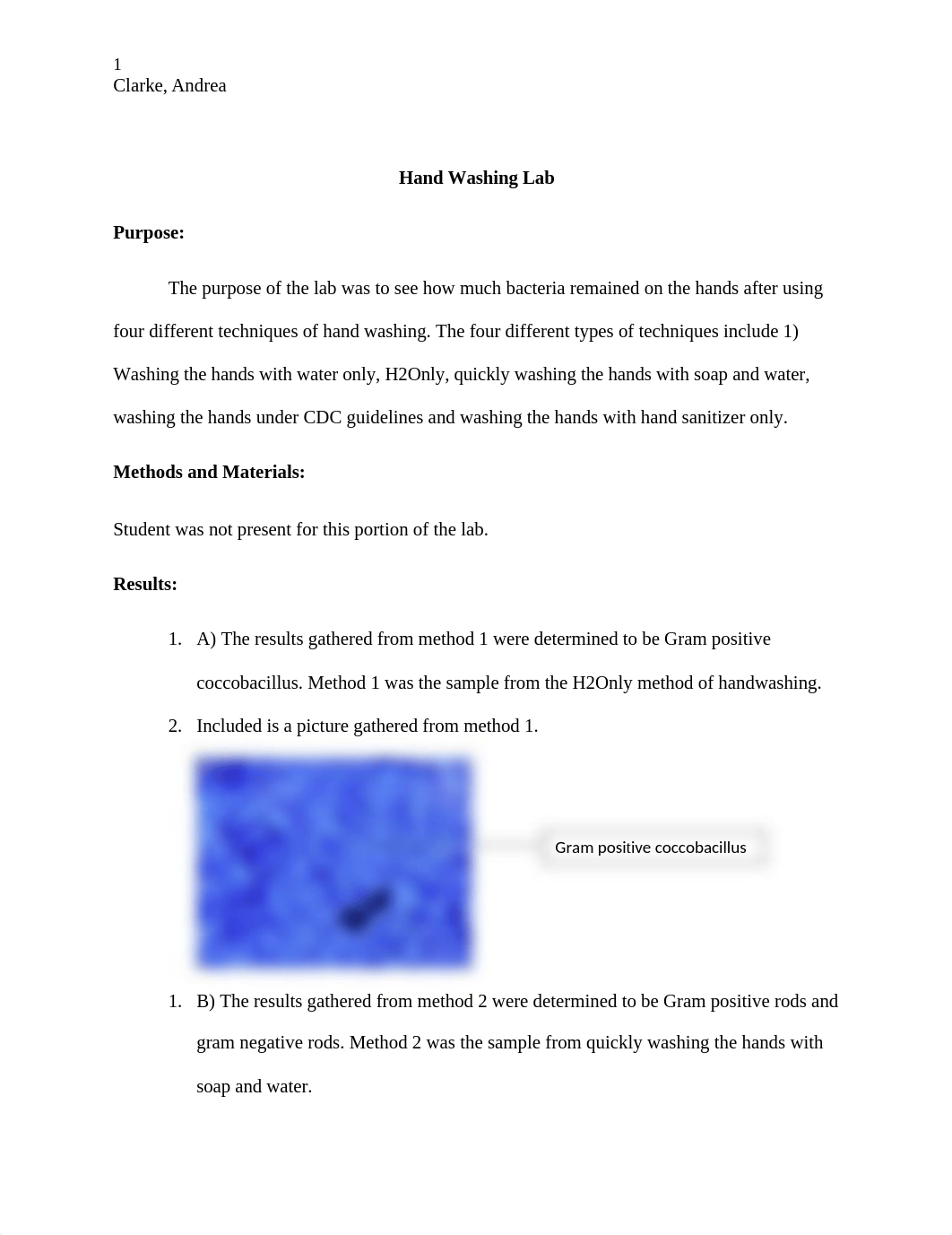 Hand Washing Lab.docx_df0tumrulxi_page1