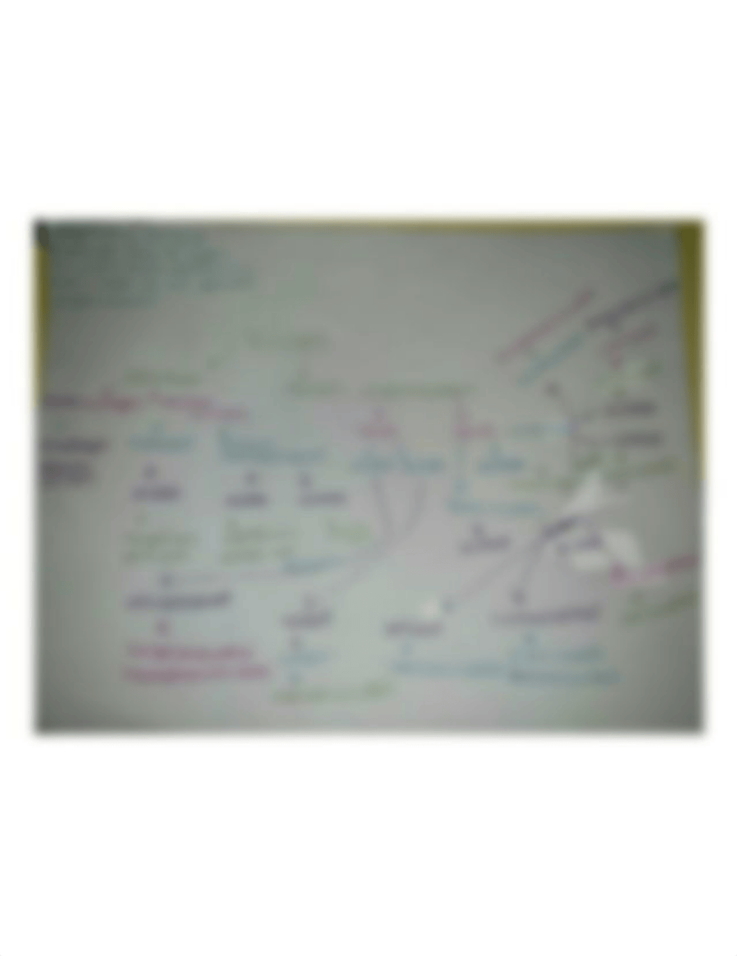 viruses concept map.jpg_df0twjs4ot4_page1