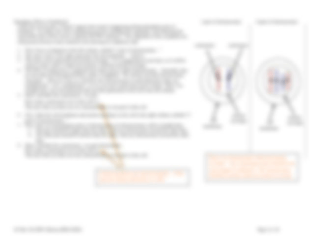 GC+Bio+120+HW9+Meiosis+2020+F+20pp+KEY.pdf_df12puyucya_page2