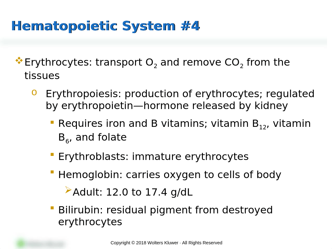 PPT_Chapter_30 MS.pptx_df1ft9isk7k_page5