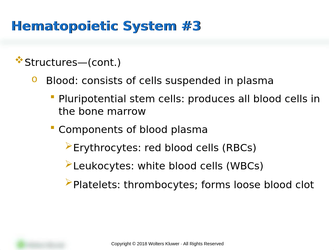 PPT_Chapter_30 MS.pptx_df1ft9isk7k_page4