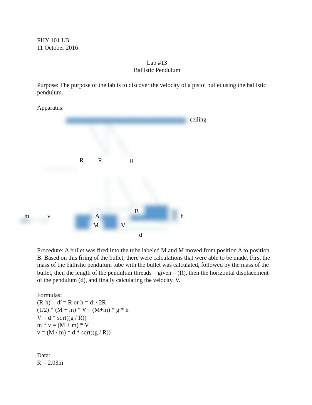 Physics 101 Lab #13.docx_df1id89dtvs_page1