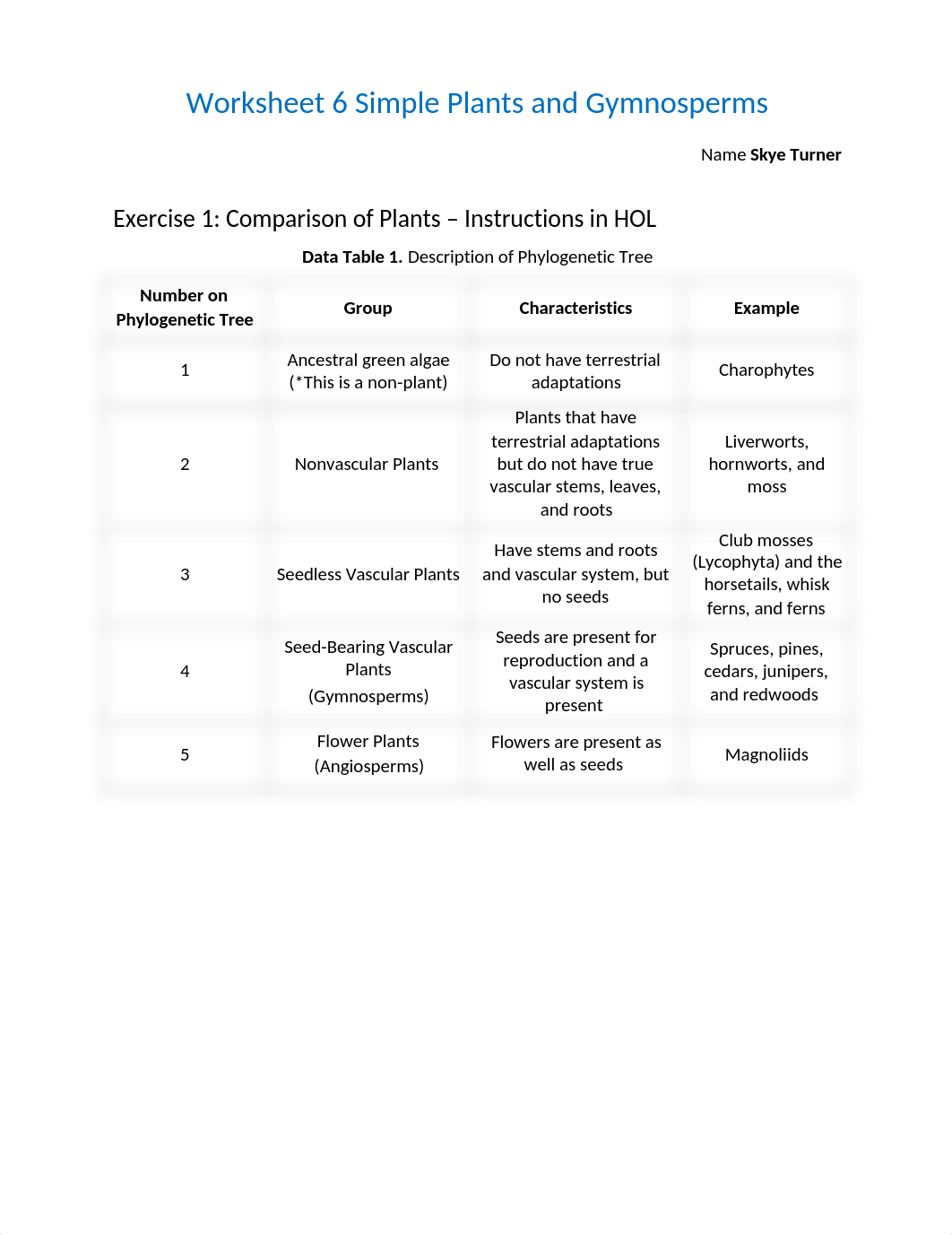 Worksheet 6 - Simple Plants-New.docx_df1rg5yh4bg_page1