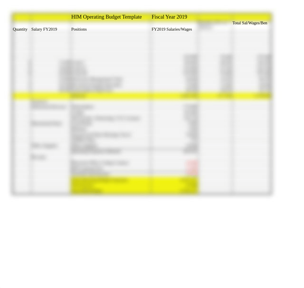 HIM Operating Budget Template.xlsx_df1tz9ud03w_page3