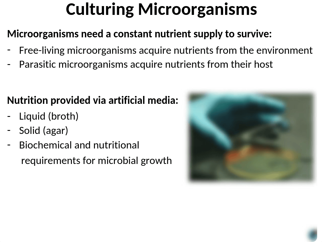 Lab 6_SLIDES-1.pptx_df21mk4x5x1_page3