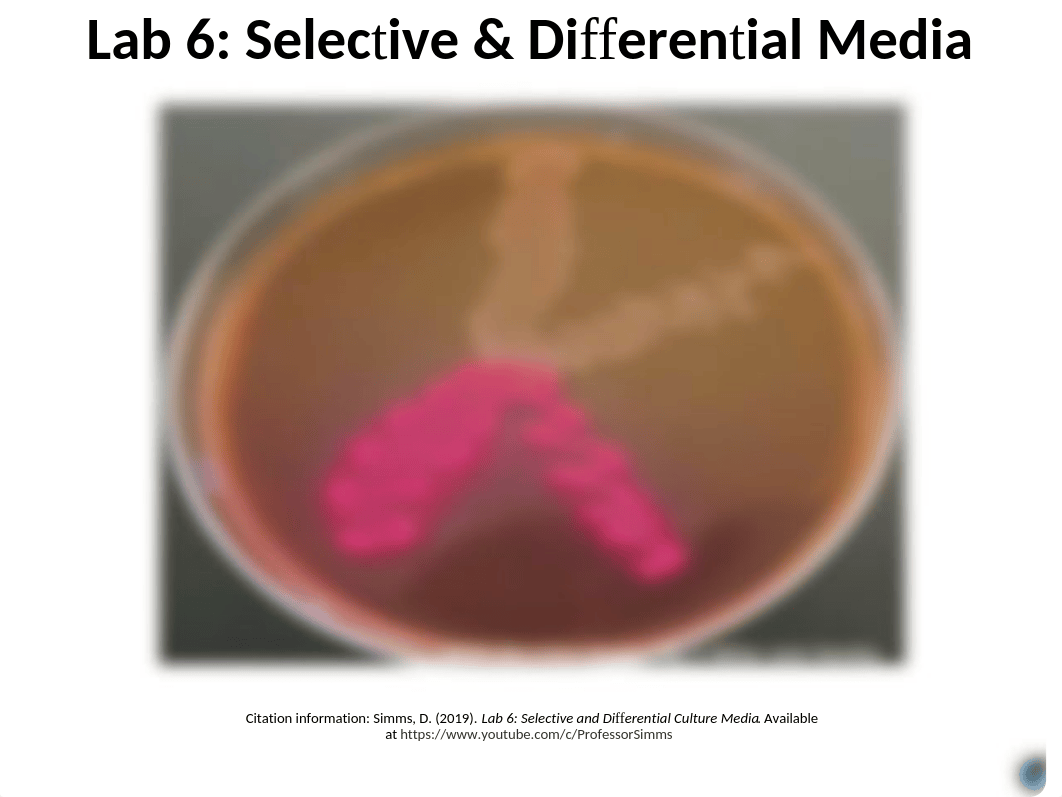 Lab 6_SLIDES-1.pptx_df21mk4x5x1_page1