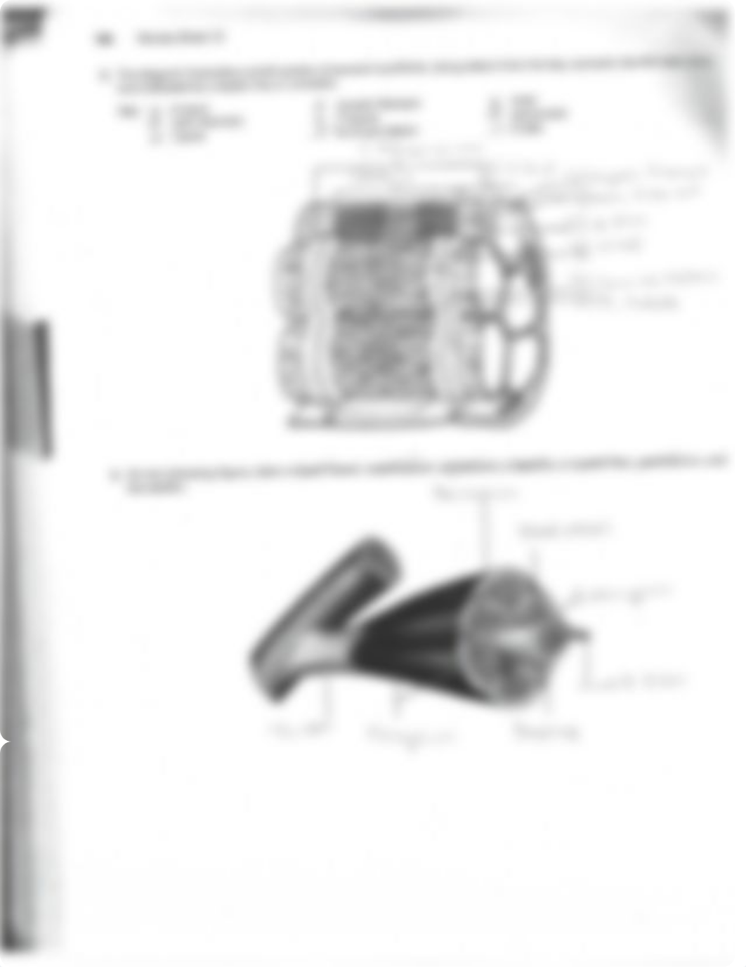 Exercise Review Skeletal Muscle.pdf_df261arzvdh_page2