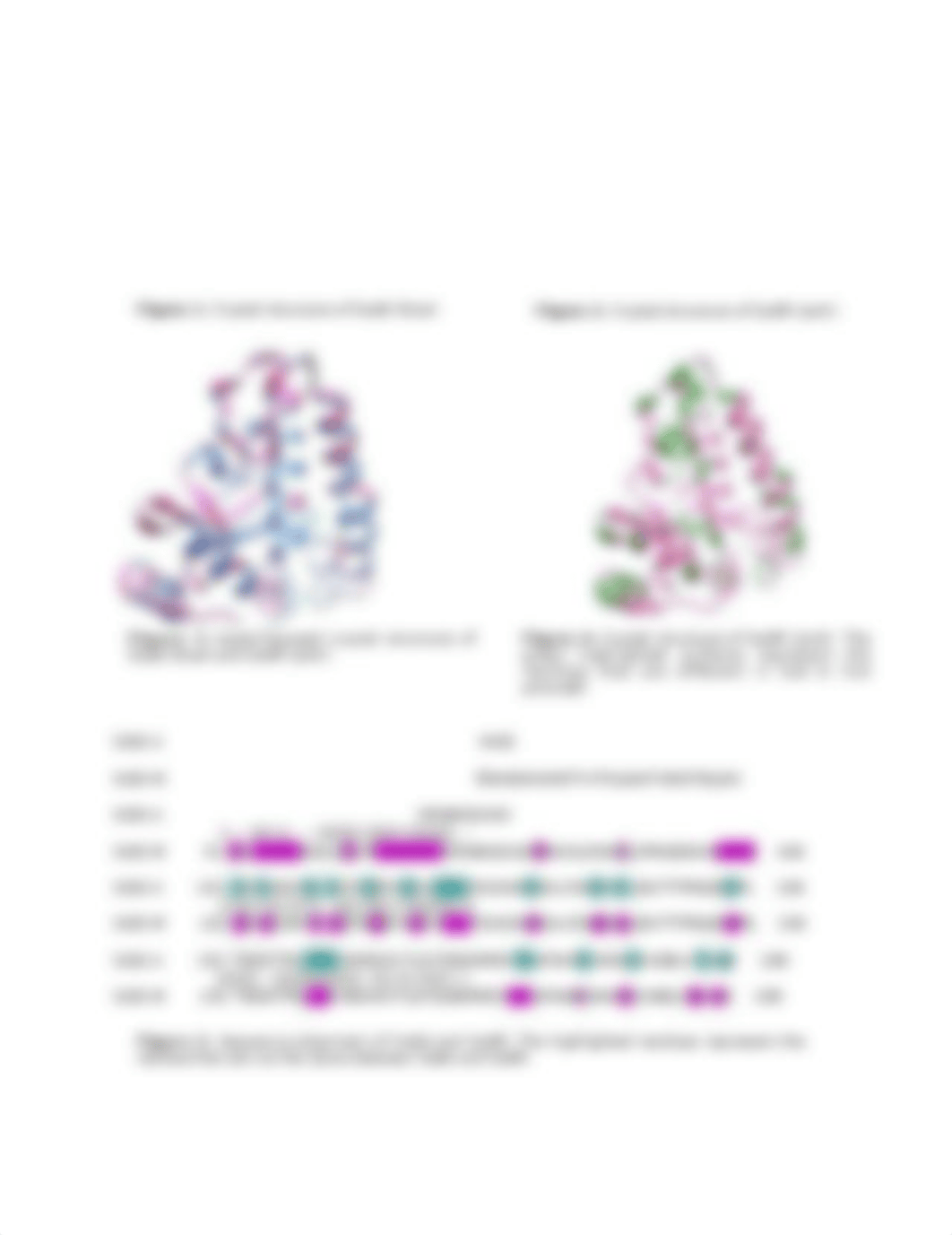 Sequence to Structure Introduction to Protein Folding Lab Report_IC_df2d4thcgts_page2