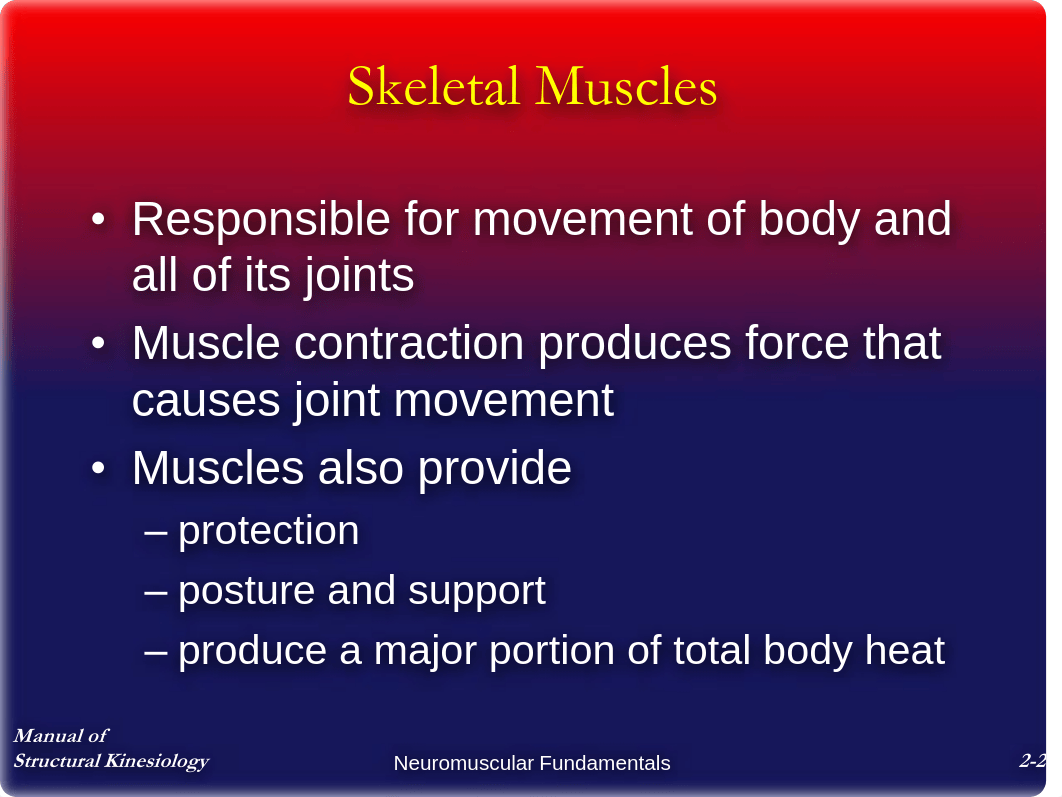 Chap2 - Neuromuscular Fundamentals - Notes_df2g6amv9kl_page2