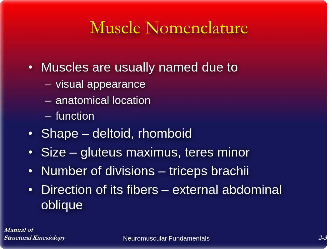 Chap2 - Neuromuscular Fundamentals - Notes_df2g6amv9kl_page3