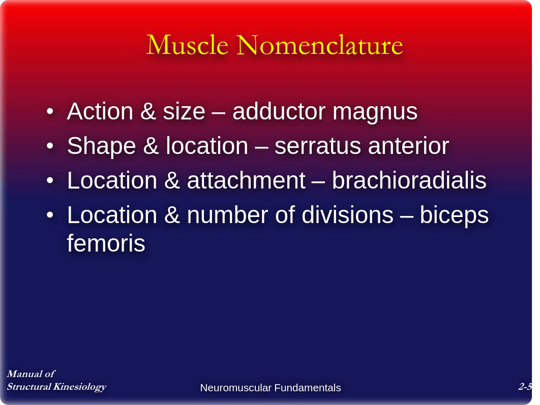 Chap2 - Neuromuscular Fundamentals - Notes_df2g6amv9kl_page5