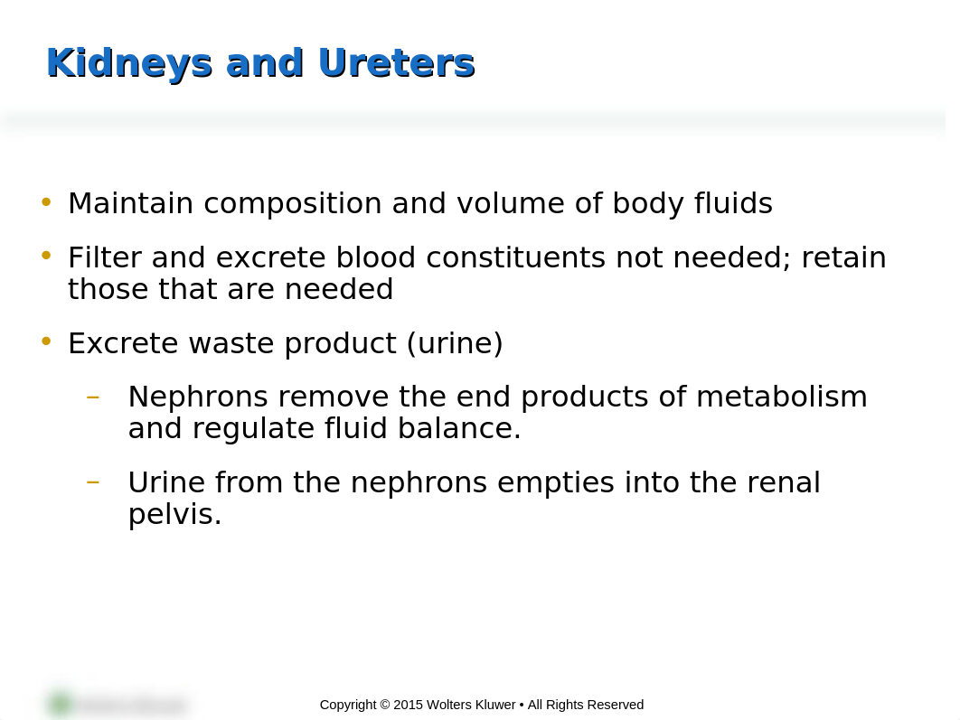 PPT_Chapter_36 - Urinary - student copy.ppt_df2i1la2ot9_page2