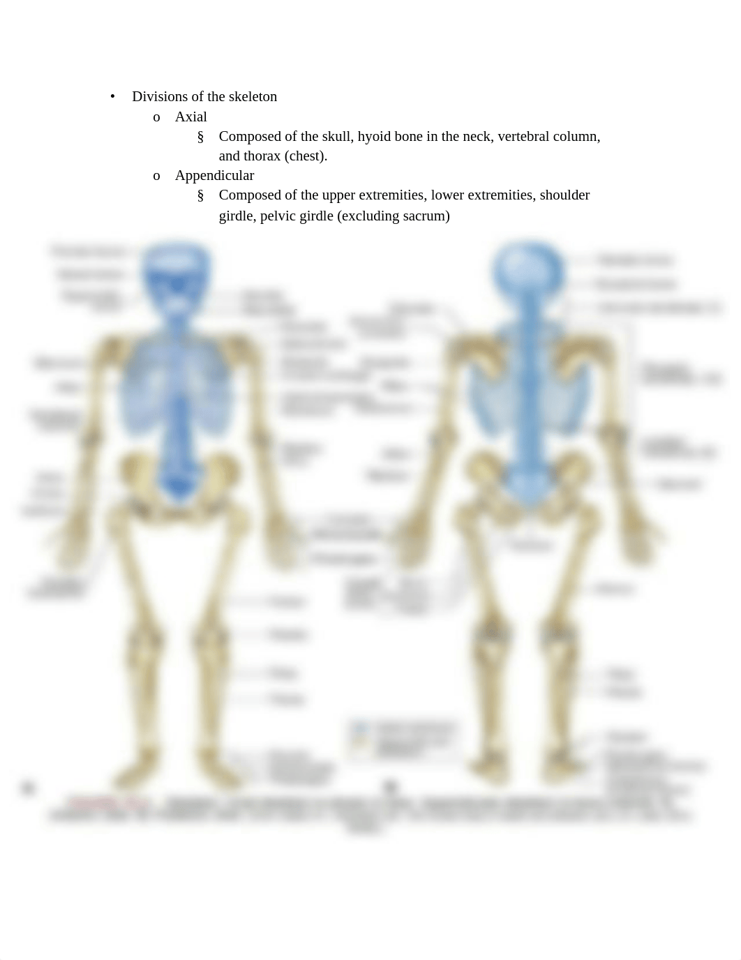 Musculoskeletal system disorder reviewPDF.pdf_df2i63fe6u4_page2