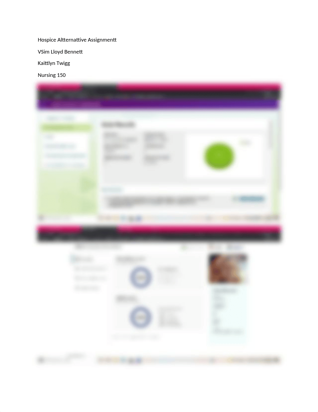 Vsim Lloyd Bennett Hospice Alternative Assignment.docx_df2irqm4nxg_page1