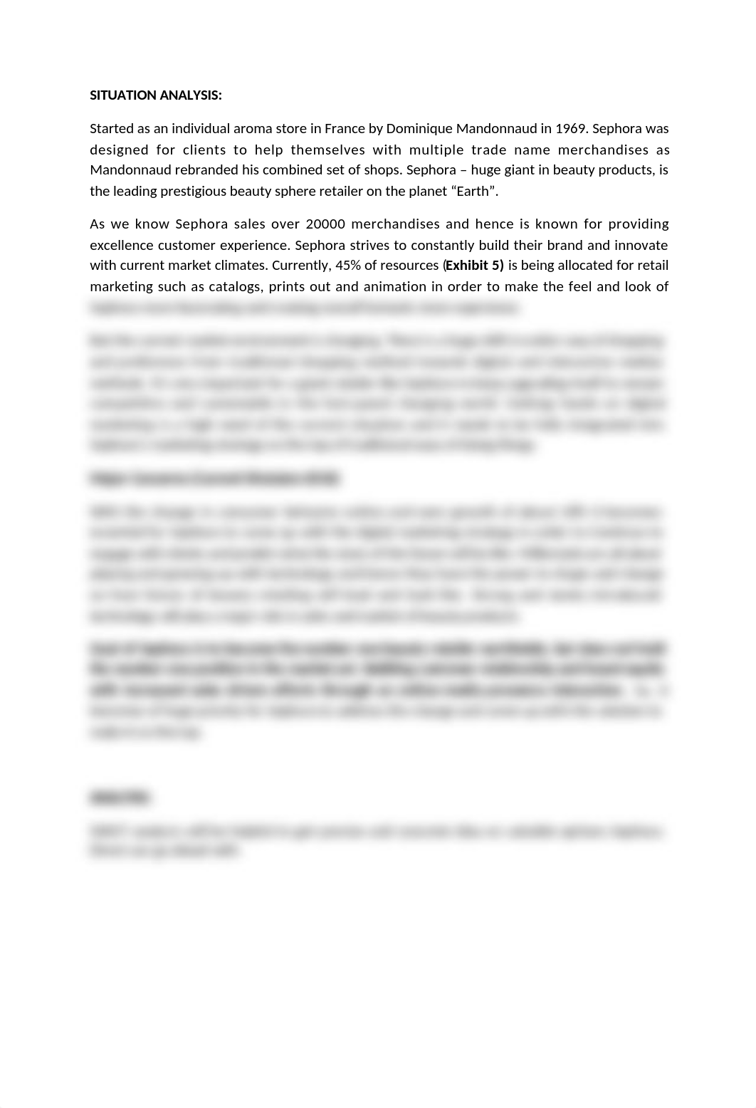 Case Analysis on Sephora Direct.doc_df2j94n2624_page2