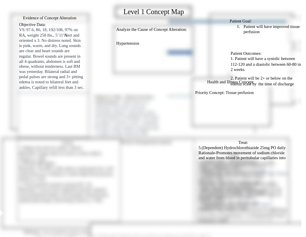 Wk 10 concept map.docx_df2yv01swrz_page1