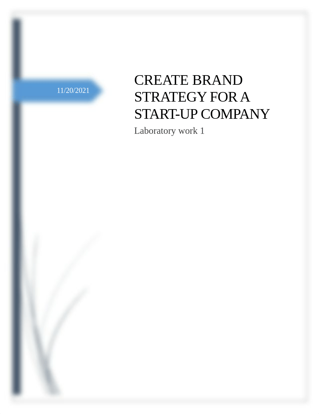 CREATE BRAND STRATEGY FOR A START.docx_df2z8pgso2i_page1