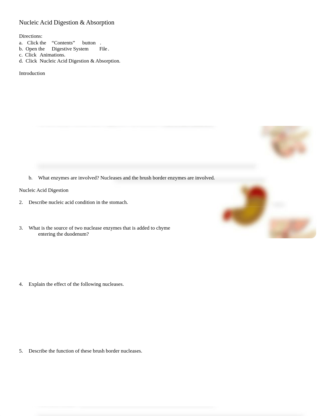 nucleic acid dig chp24 - Copy.doc_df31rkxv9cn_page1