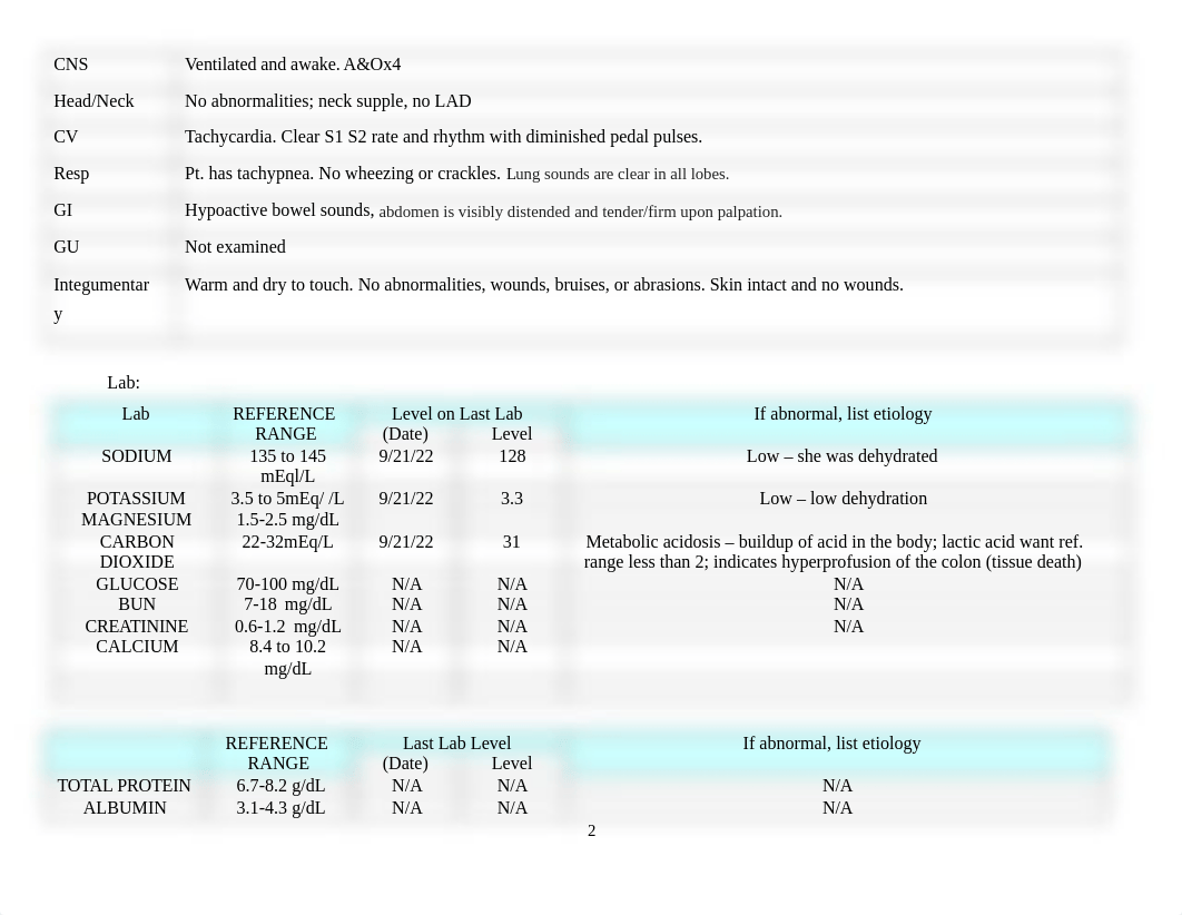 Toxic Megacolon Nursing Care Plan.docx_df32k356ipn_page2