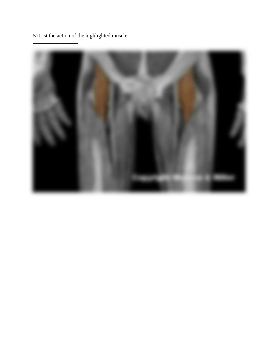 Lower limb muscke action .docx_df3qbad2hfb_page5