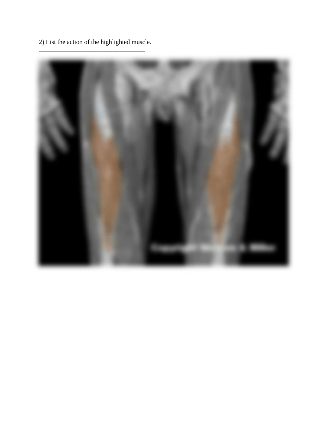 Lower limb muscke action .docx_df3qbad2hfb_page2