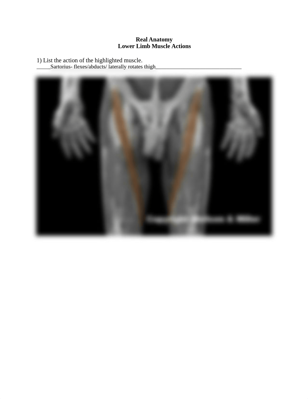 Lower limb muscke action .docx_df3qbad2hfb_page1