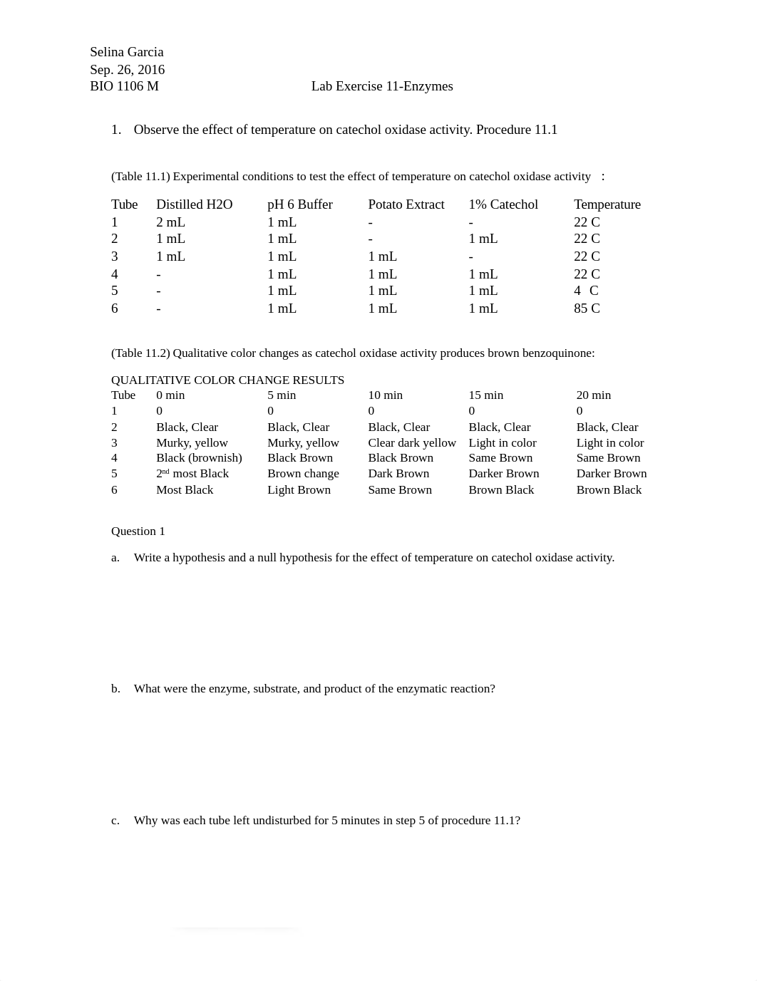 LAB 11.docx_df3tpa0opmz_page1