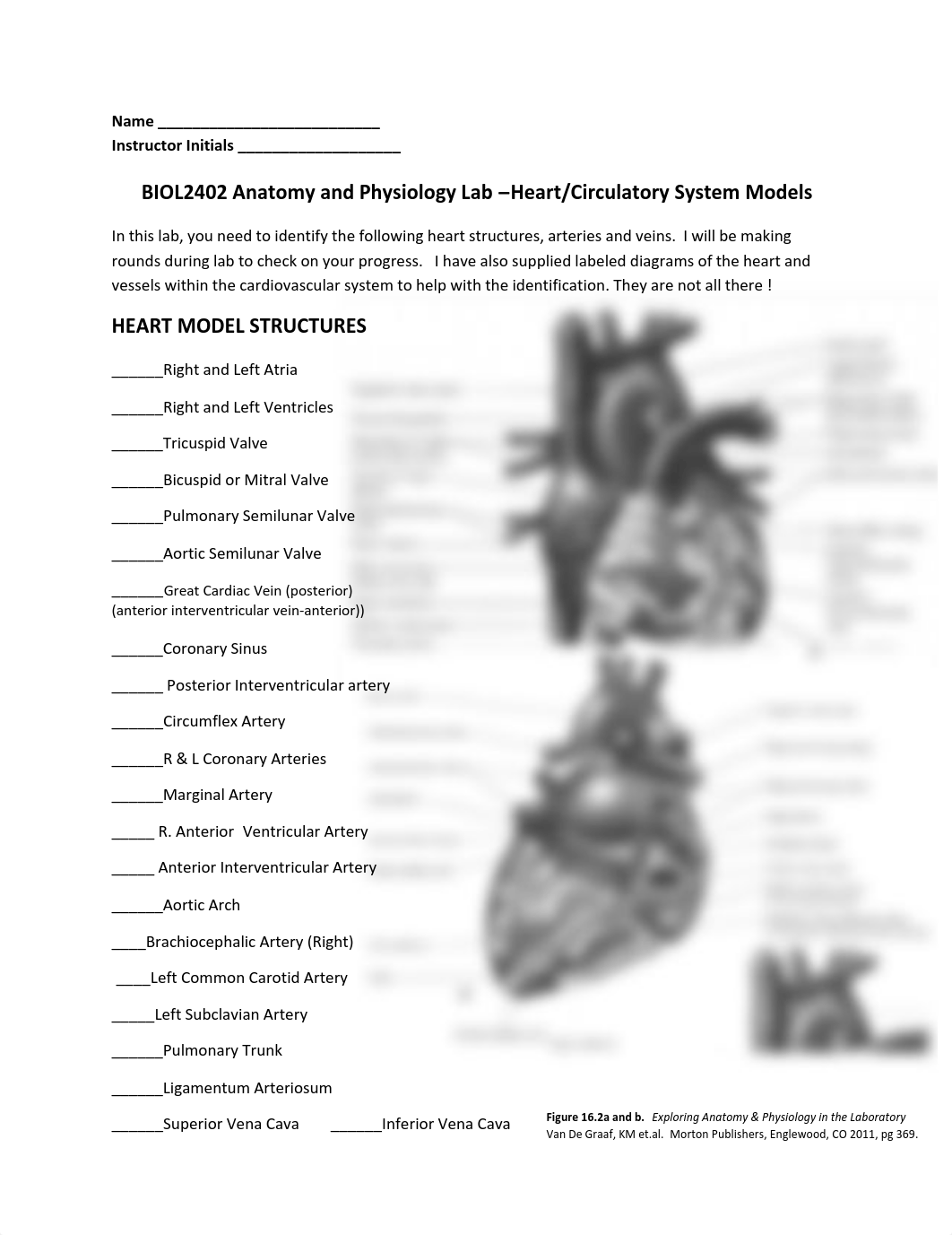 Heart and Circulatory System Models_df41crdlxwl_page1