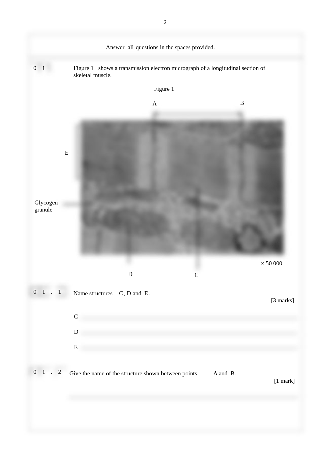 A-Level Bio P2 QP Specimen Set 2.pdf_df43kqfervm_page2