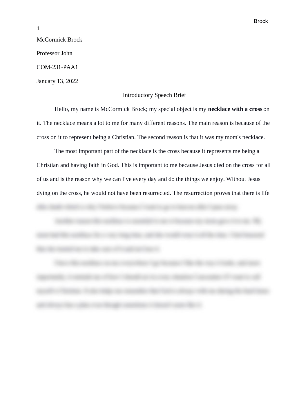 Introductory Speech Brief .docx_df46mg5hh6x_page1