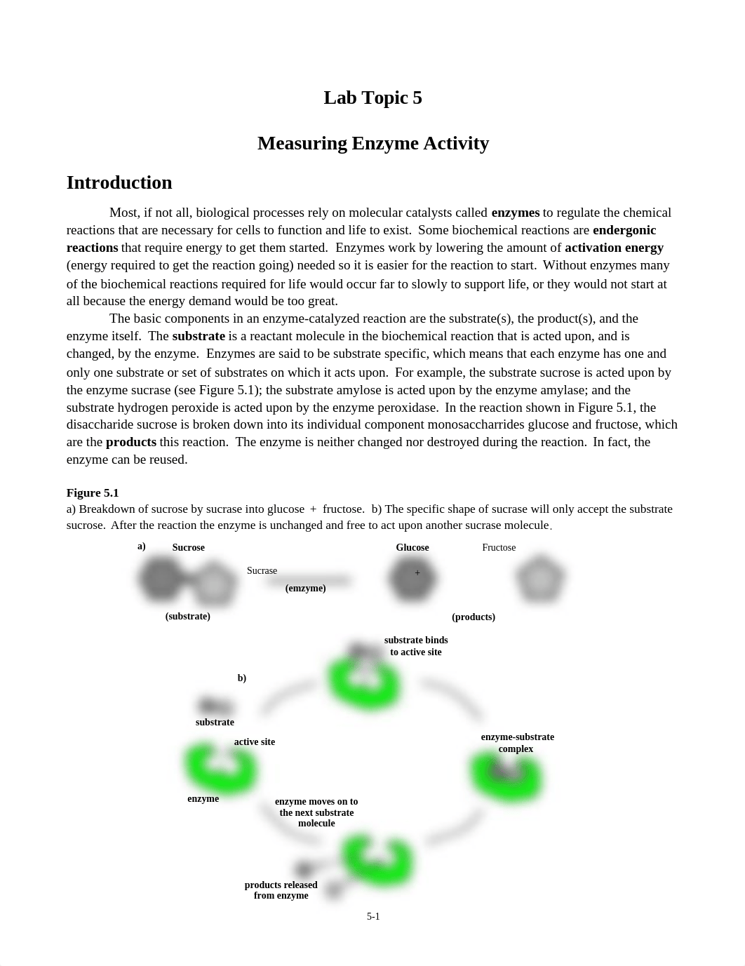 Lab  Enzyme Activity online FA20.docx_df4bib99nai_page1