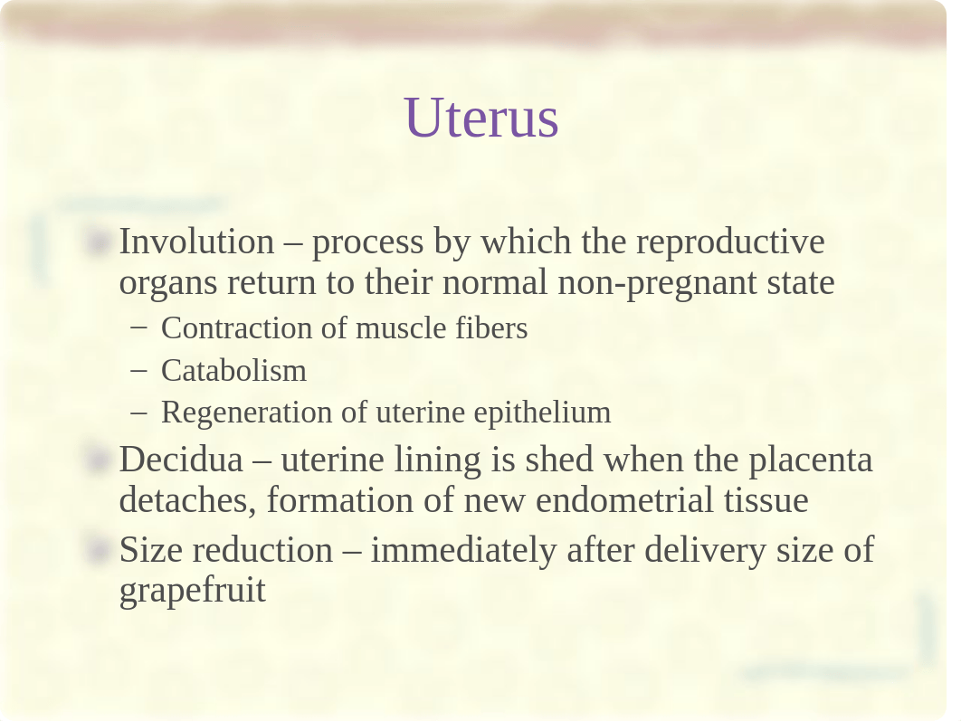 nur 106 chapter 20 postpartum adaptations sp 14_df4c4iy6fvm_page4