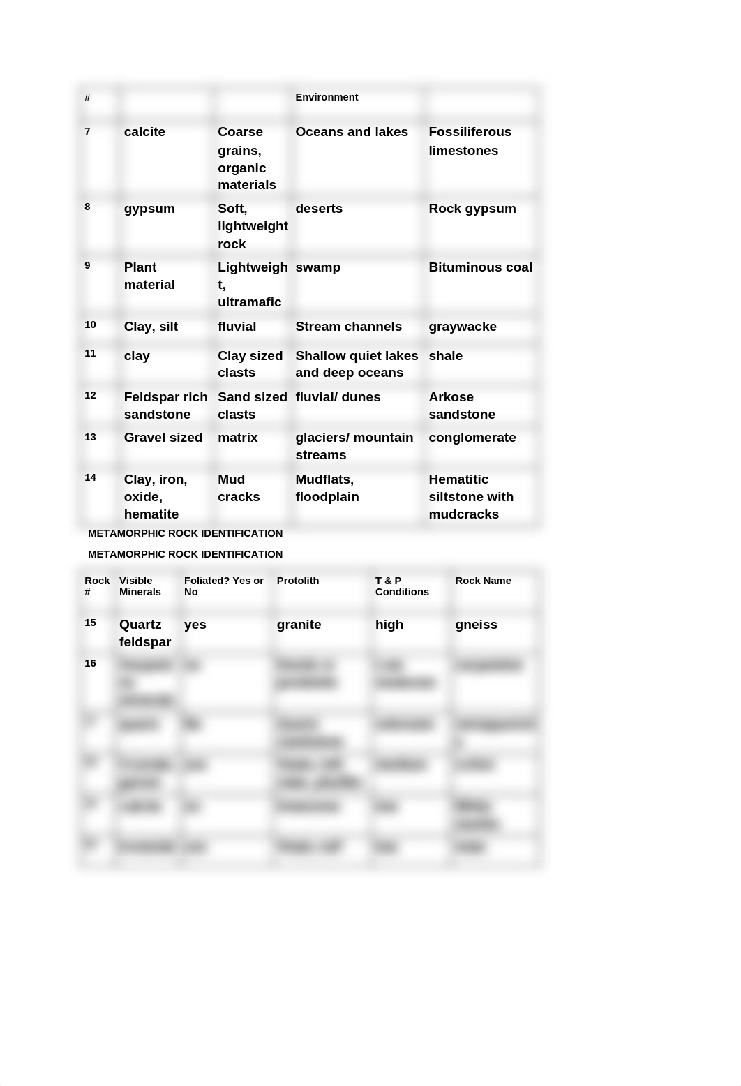 Lab 2: Igneous Rock Identifation_df4dxcnrdvk_page2