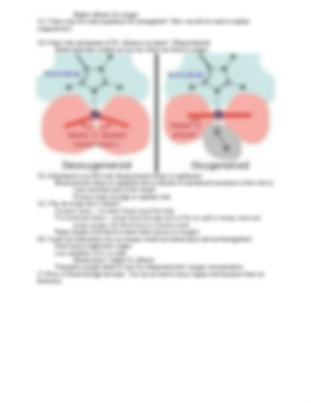 Potential topics for Exam 3_df4g9z8f9rn_page2