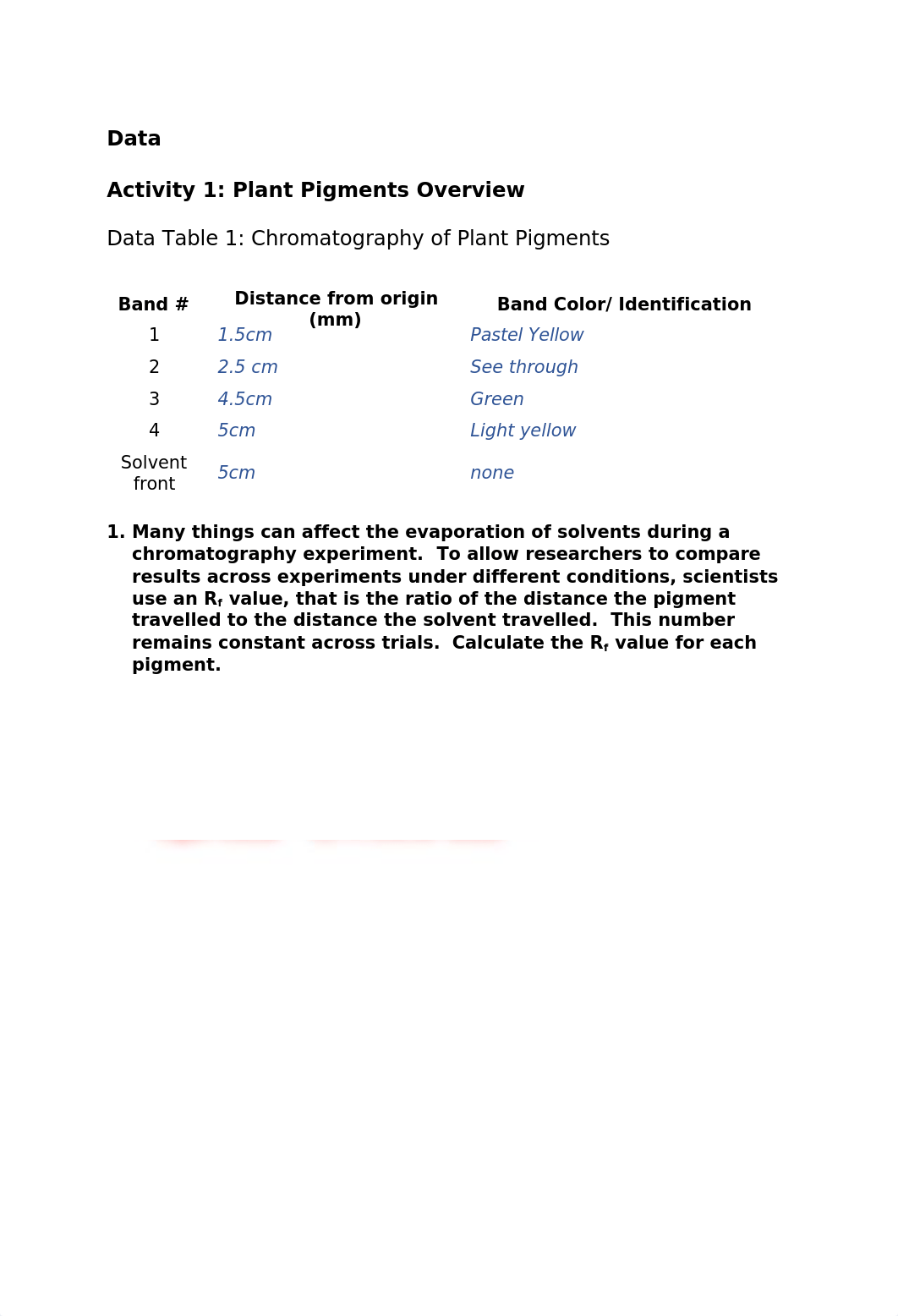 Photosynthesis+Answer+Sheet.docx_df4o6fqv8ck_page2