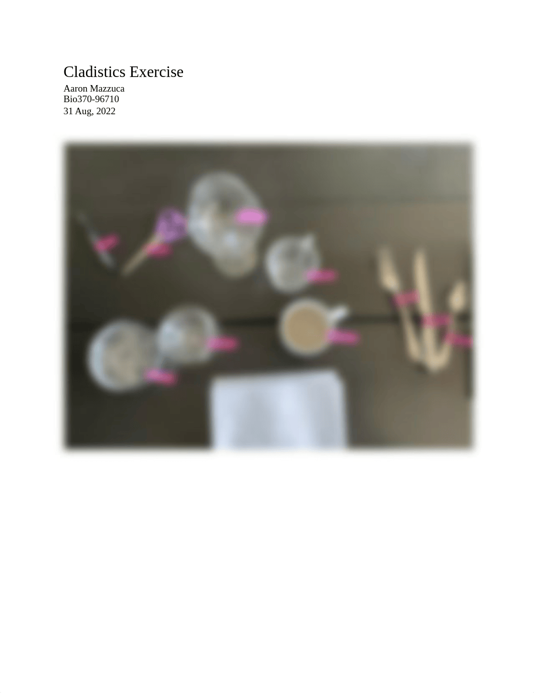 Cladograms exercise .pdf_df4pqxkn8x6_page1